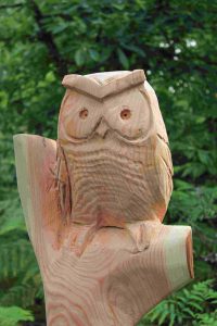 Image of carved wood owll on our woodland path